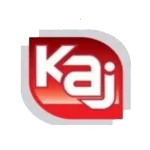 Loker Lampung Sales Motoris & Sales TO di PT Karya Anugerah Jaya